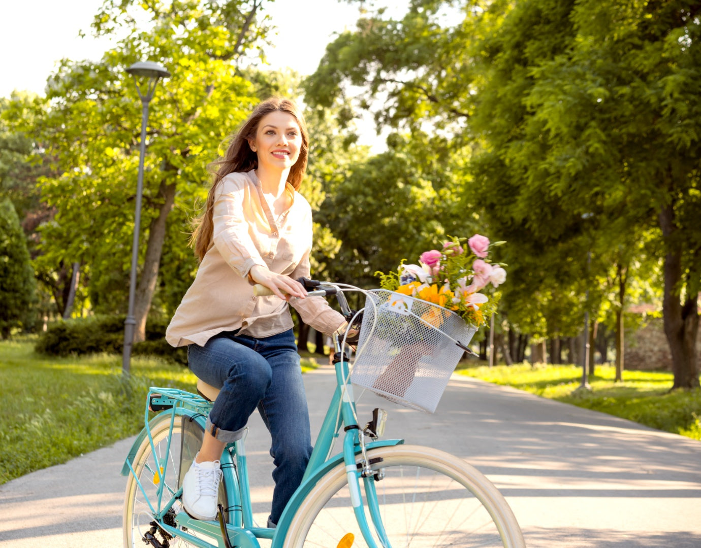 Adult Trek Bike