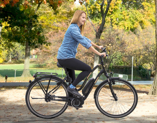 Electric Bike